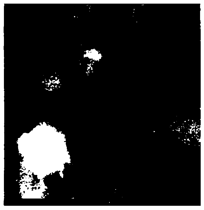 Complex, tissue repair material, preparation method of the tissue repair material and applications