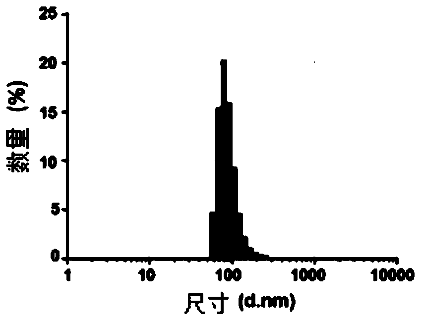 Complex, tissue repair material, preparation method of the tissue repair material and applications