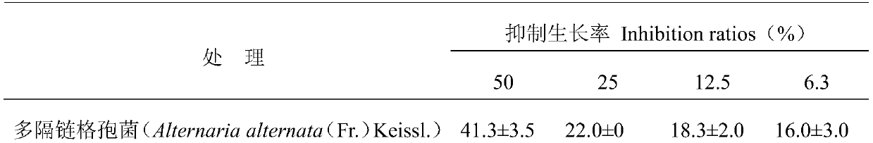 A strain of Pseudomonas arcticus with antifungal activity