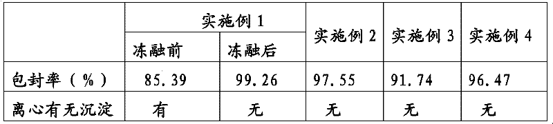 Lipid preparation containing insoluble camptothecin drug and preparation method thereof