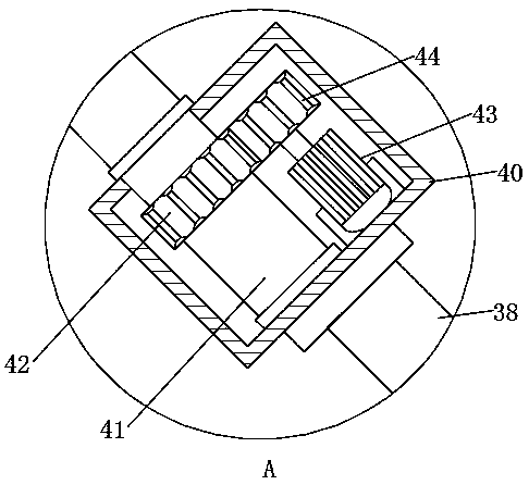 Rapid diagnostic device for forestry diseases and pests