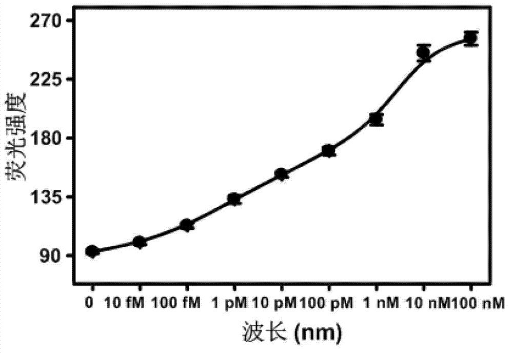 Testing method and kit for secondary circulation amplification of microRNA (Ribose Nucleic Acid)