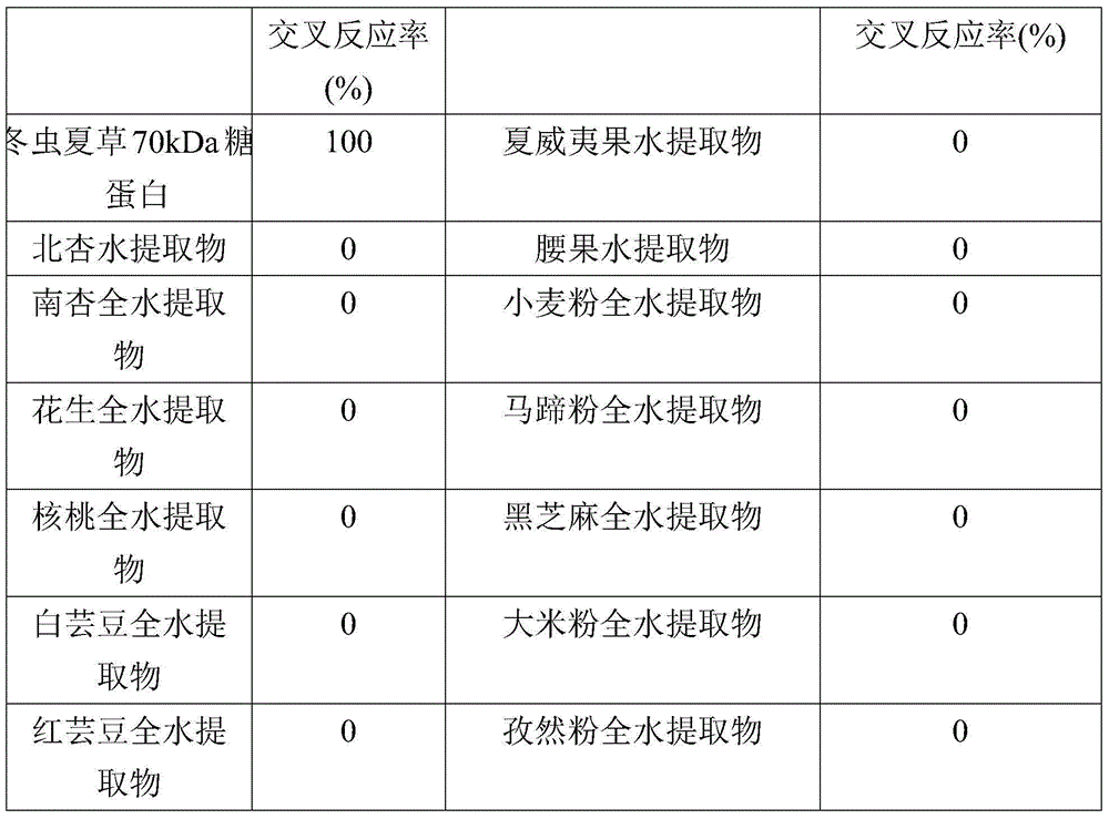 Kit for enzyme-linked immunosorbent assay of cordyceps sinensis and preparation method of kit