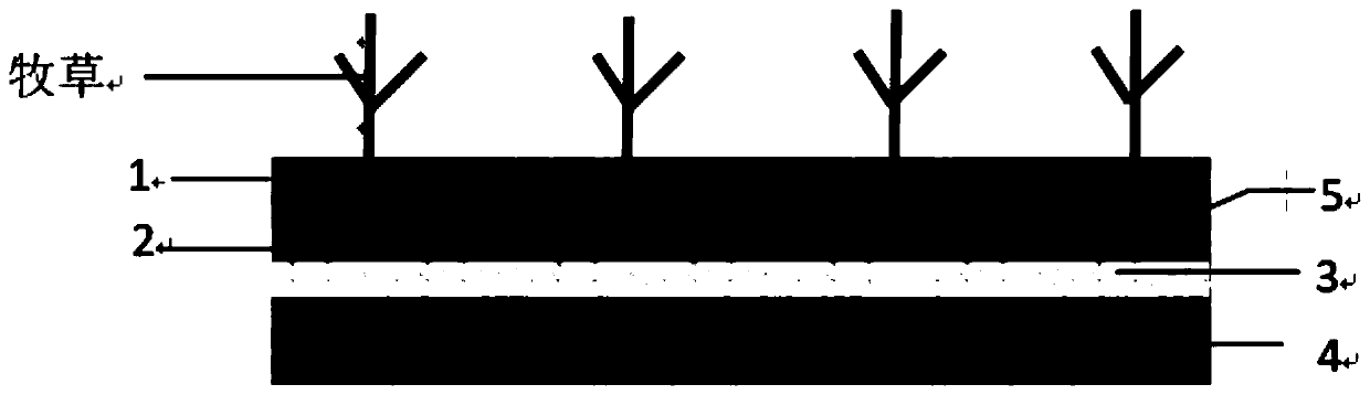 System and method for planting pasture grass in desertificated soil of alpine grassland