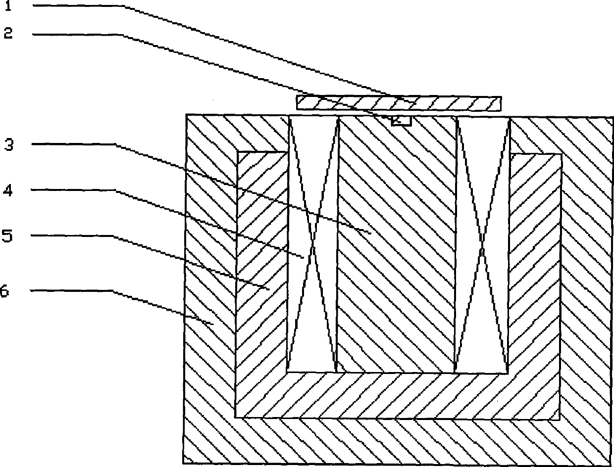 Electromagnetic heating micro forming method and apparatus thereof