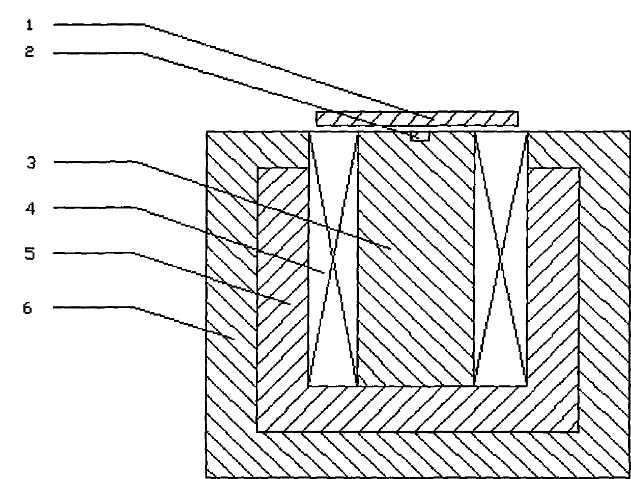 Electromagnetic heating micro forming method and apparatus thereof