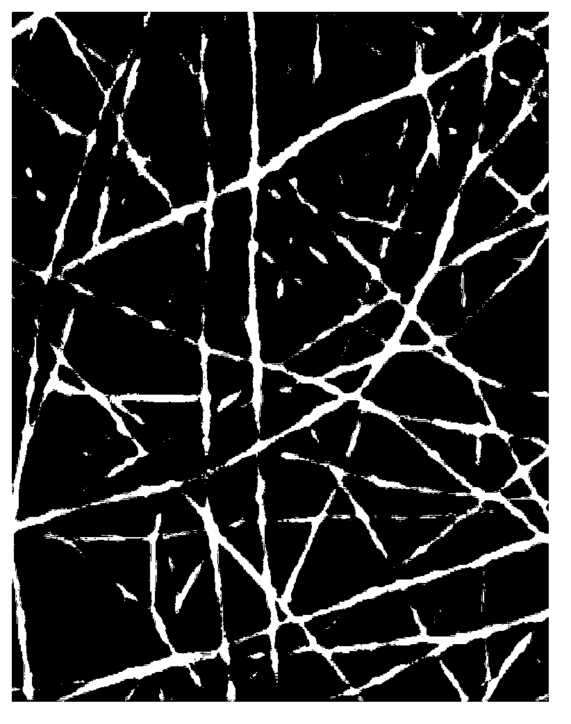 Method for preparing natural material-liposome composite nanofiber based on electrostatic spinning technology