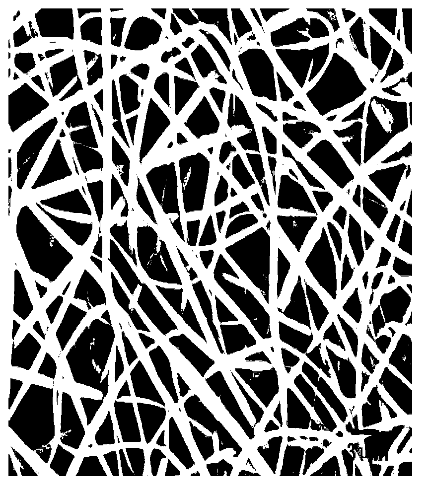 Method for preparing natural material-liposome composite nanofiber based on electrostatic spinning technology