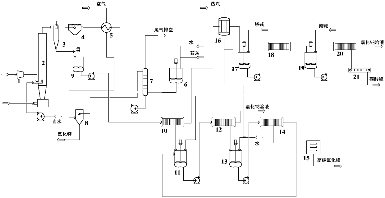 Collaborative extraction system of magnesium and lithium in salt lake brine and treatment method thereof