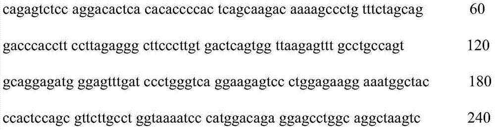 Yak meat tenderness candidate gene detection kit and detection method thereof