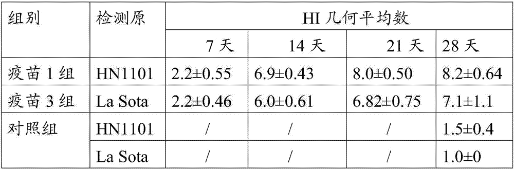 Gene VII type Newcastle disease virus attenuated strain, vaccine composition and application of vaccine composition