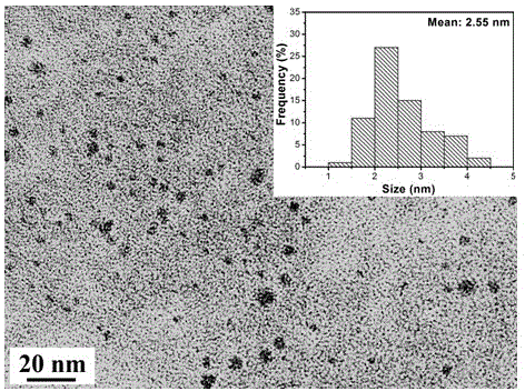 Amphipathy carbon quantum dot and preparation method thereof