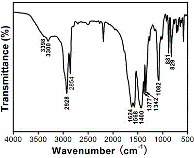 Amphipathy carbon quantum dot and preparation method thereof