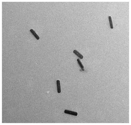 Preparation method and application of a fluorescence sensor for detecting ochratoxin A