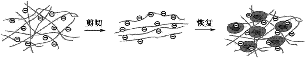 Preparation method for sodium alginate nanometer fiber-based hydrogel