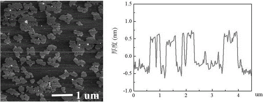 Hydrogen evolution reaction catalyst and preparation method thereof