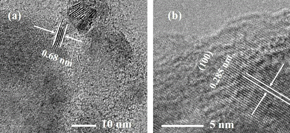 Hydrogen evolution reaction catalyst and preparation method thereof