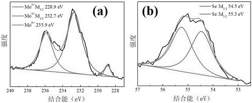 Hydrogen evolution reaction catalyst and preparation method thereof