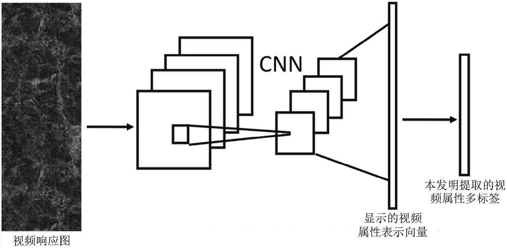 Video attribute representation learning method and method for automatically generating video text description