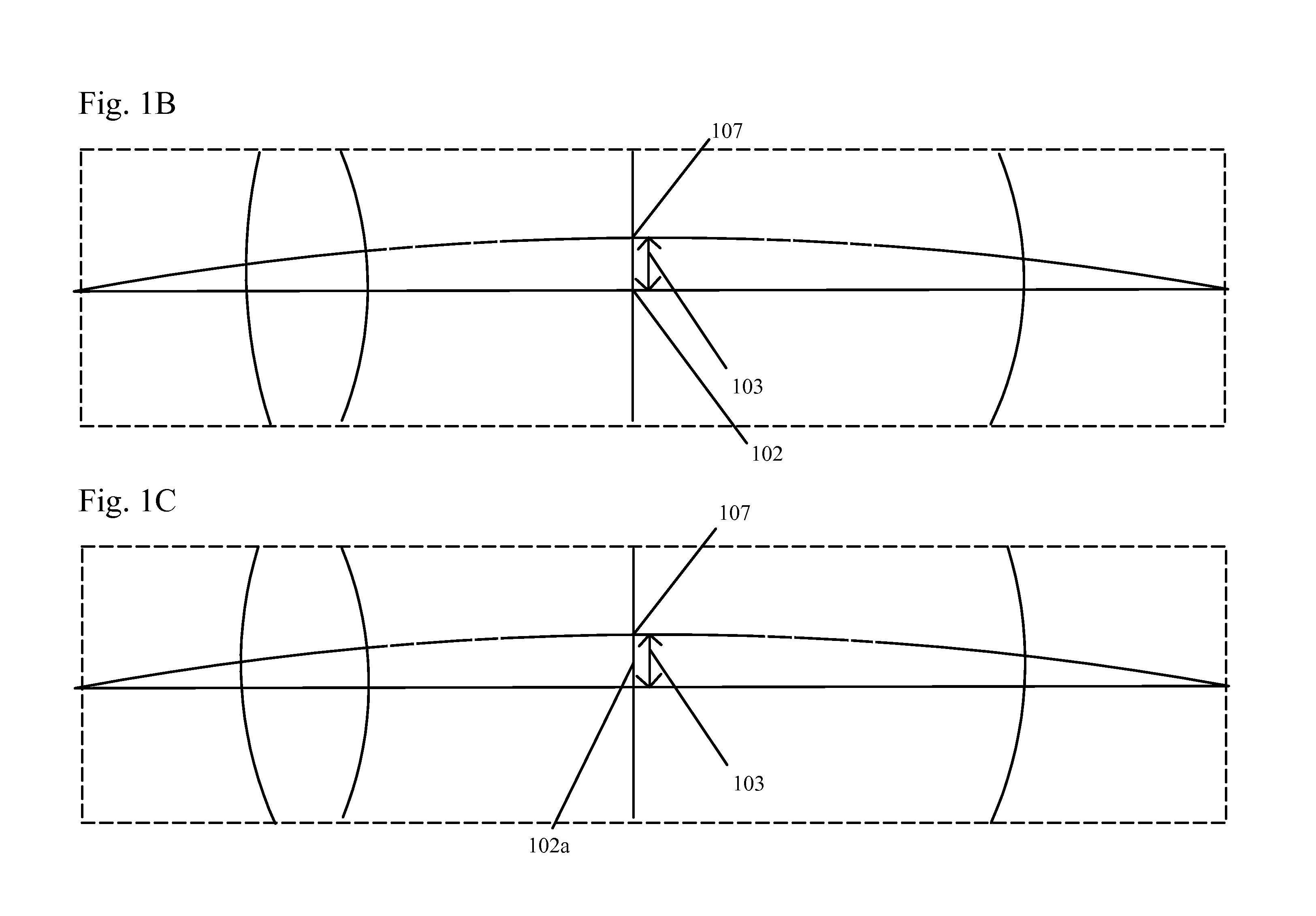 Sprocket tooth profile for a roller or bush chain