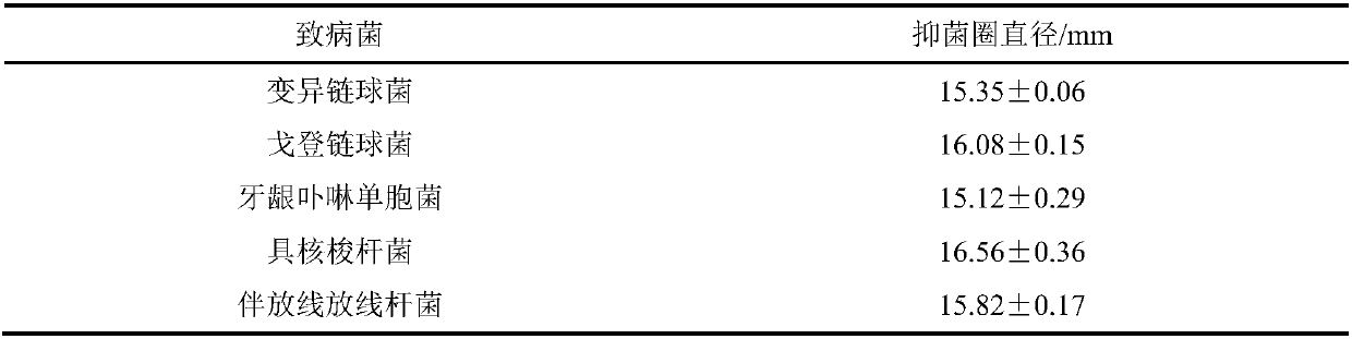 Lactobacillus rhamnosus, lactobacillus rhamnosus preparation and application thereof