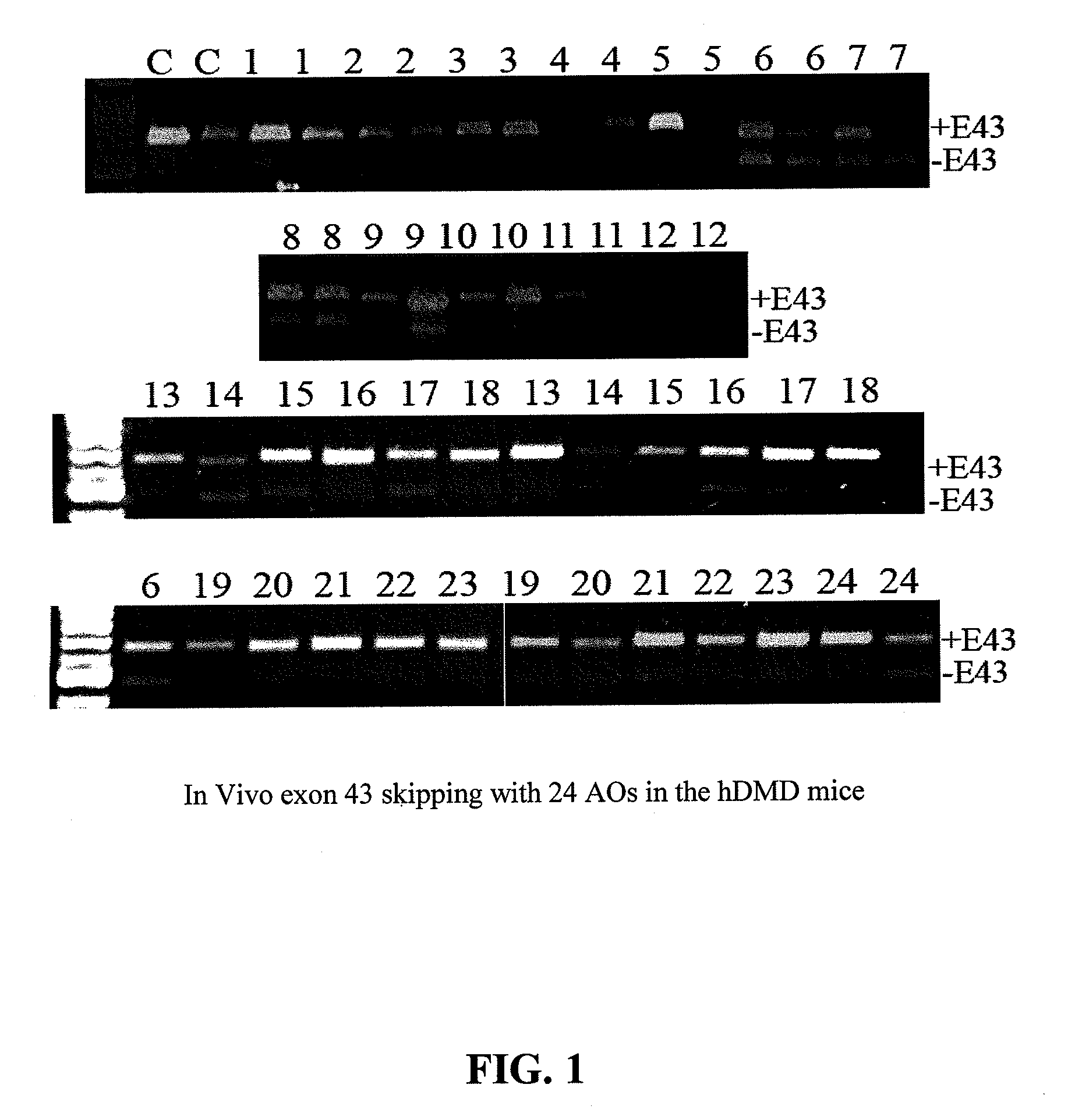 Antisense oligonucleotides