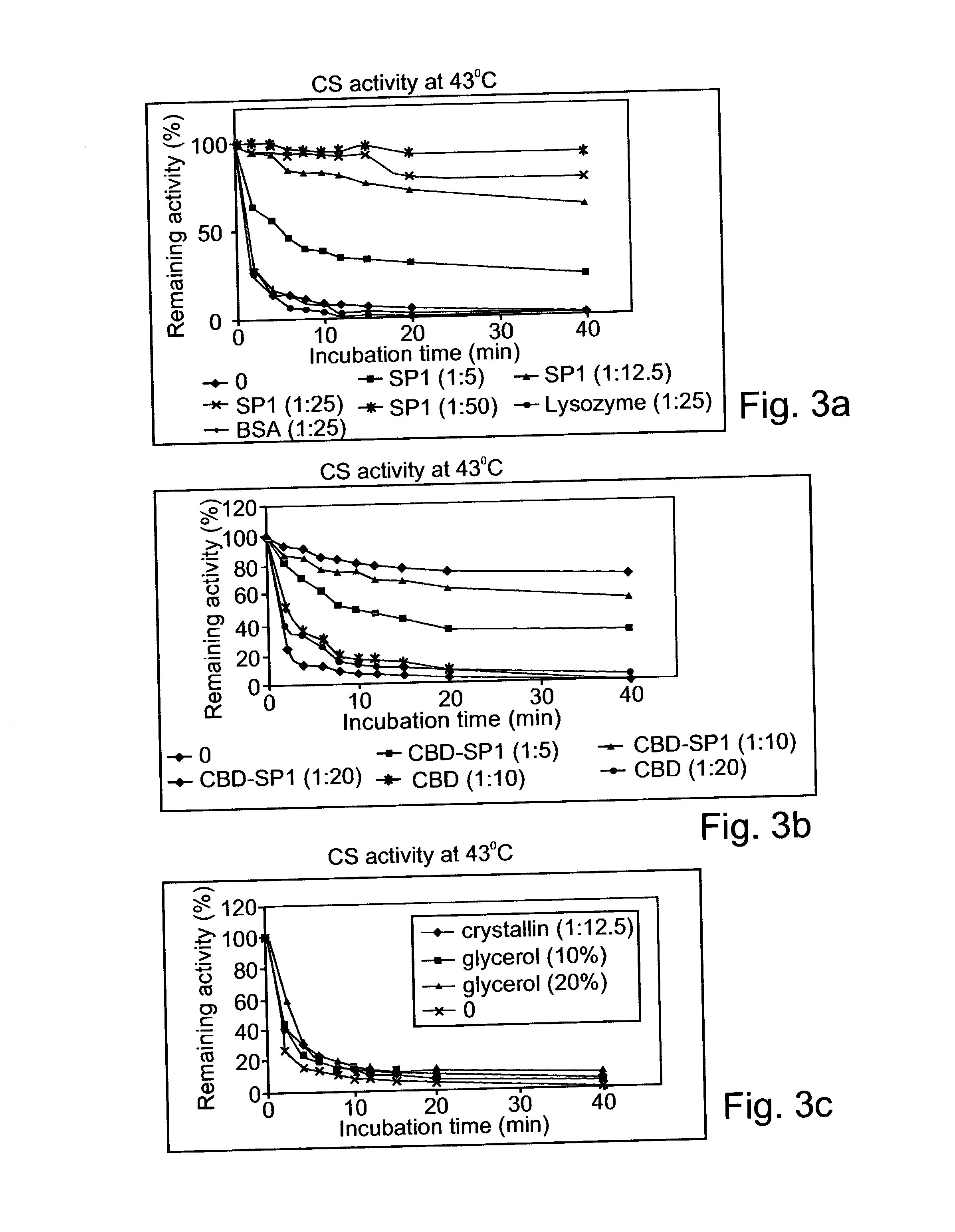 Denaturat stable and/or protease resistant, chaperone-like oligomeric proteins, polynucleotides encoding same, their uses and methods of increasing a specific activity thereof