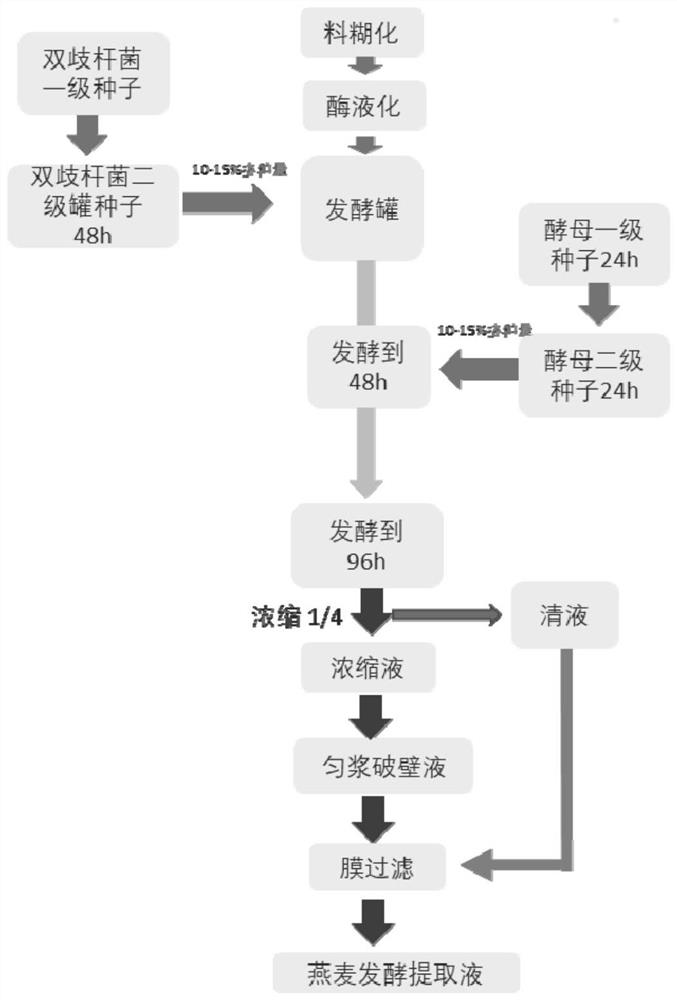 Oat fermentation extract as well as preparation method and application thereof