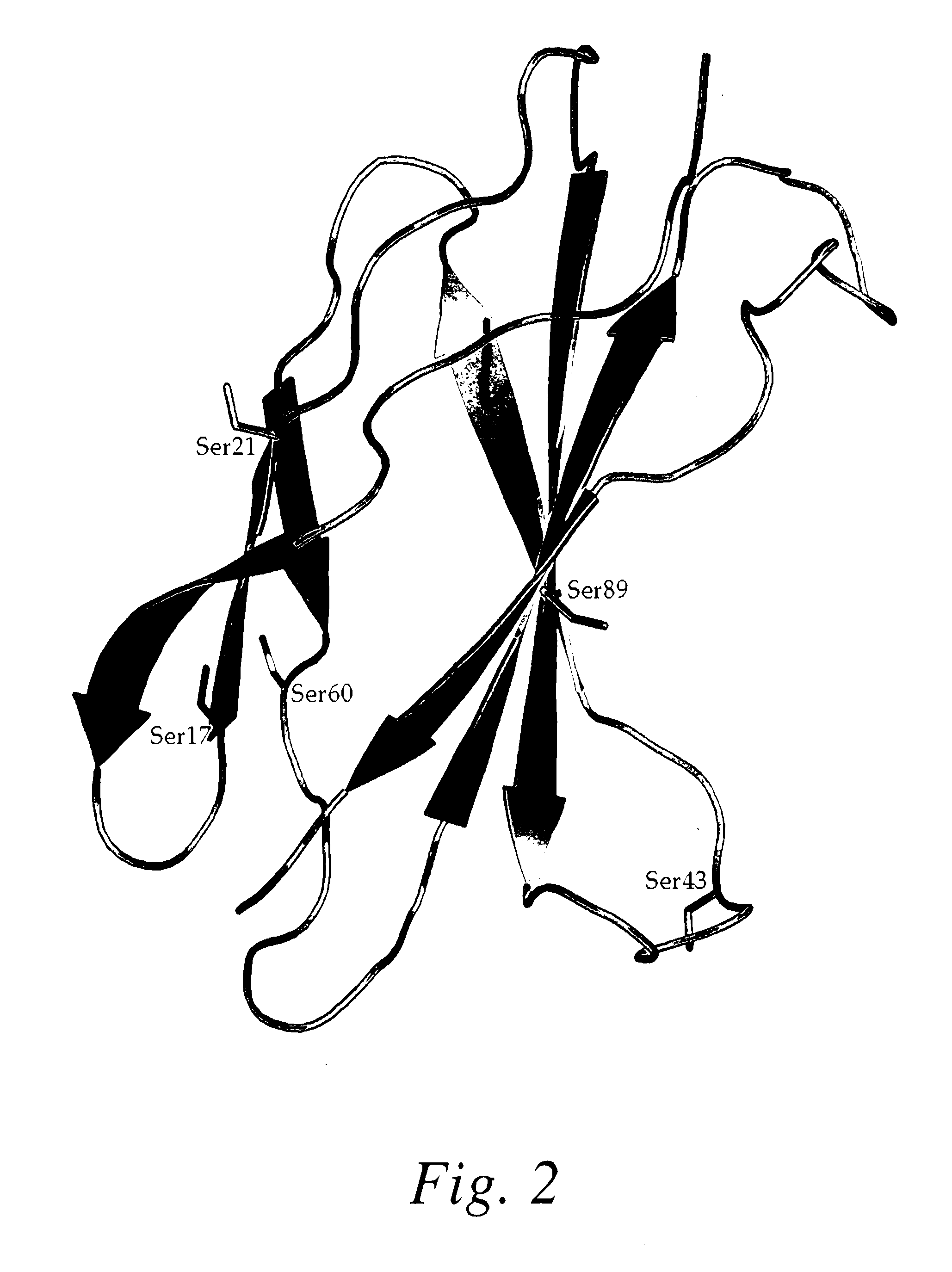 Fibronectin-based binding molecules and their use