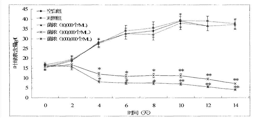 Shewanella piezotolerans 34# and application thereof to algae inhibition