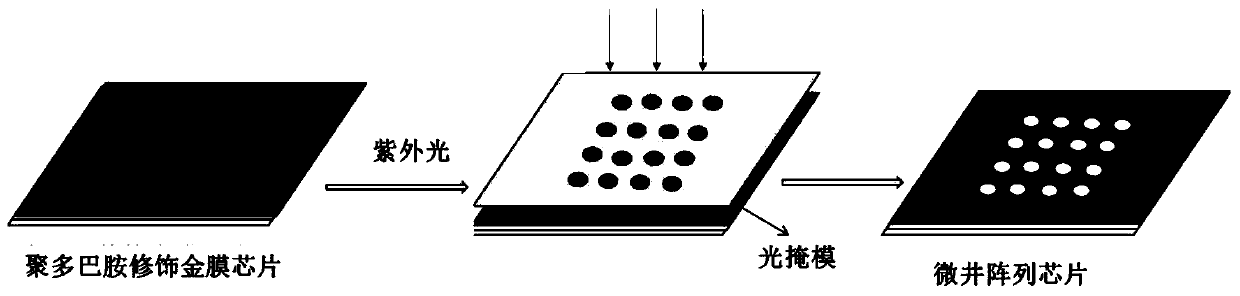 Preparation method of micro-well structure SPRi chip and product and application thereof