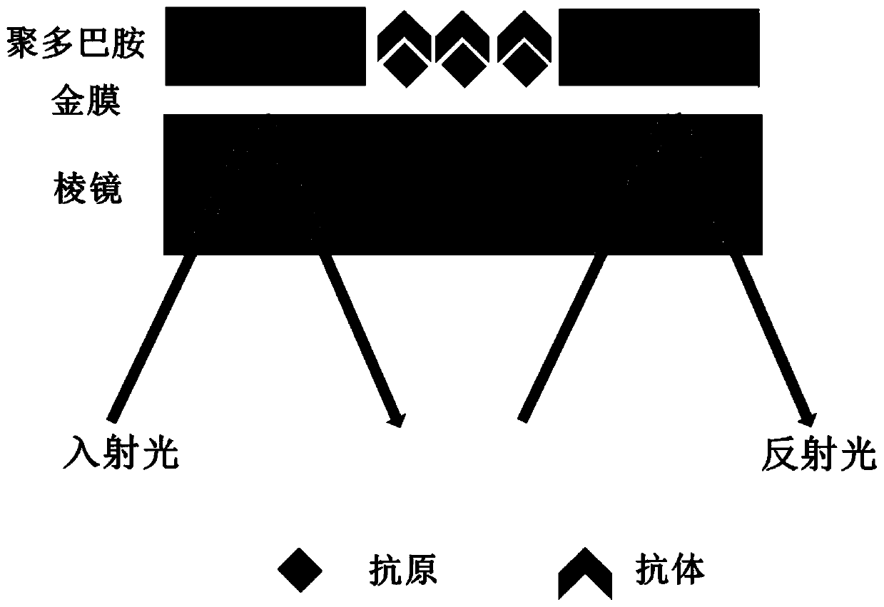 Preparation method of micro-well structure SPRi chip and product and application thereof