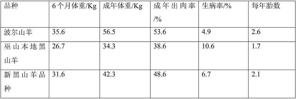 Black goat breeding method