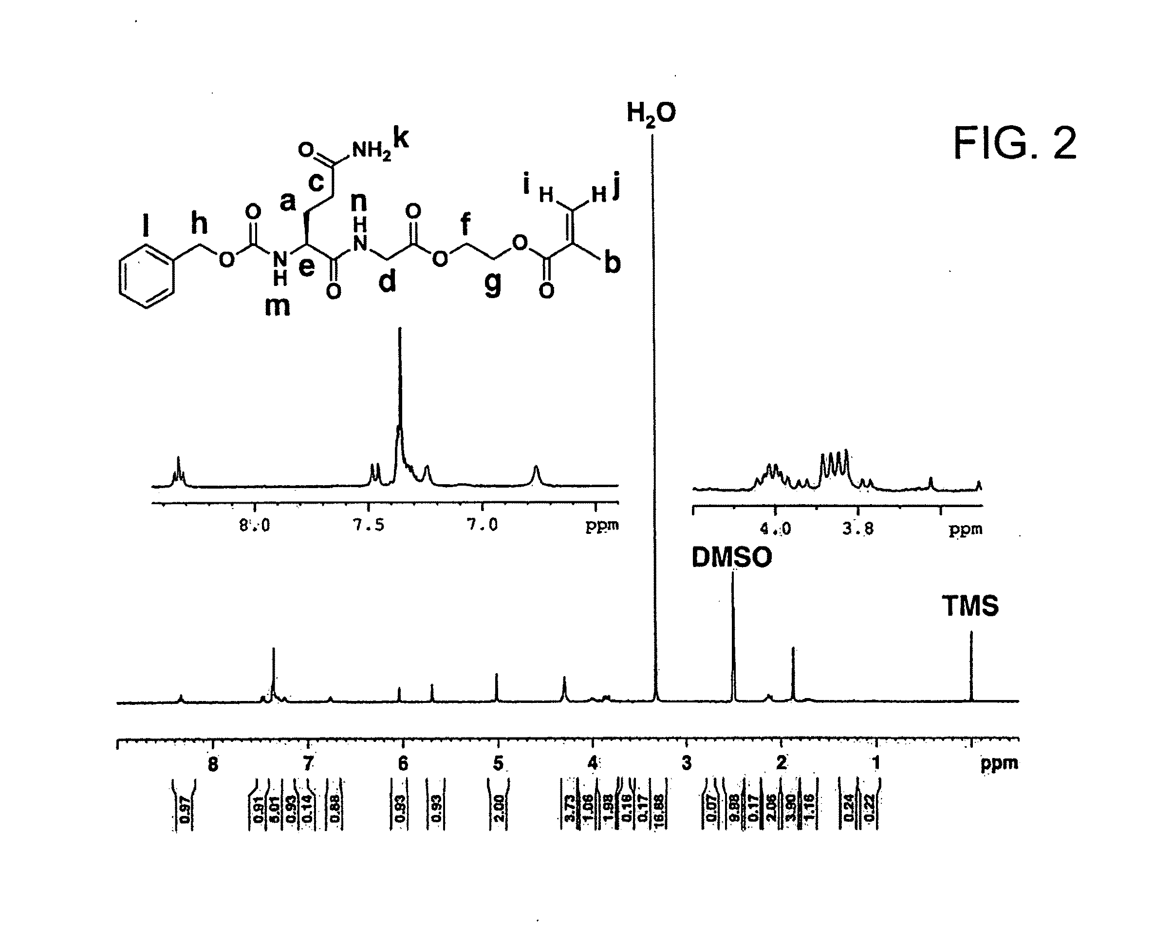 PROTEIN-POLYMER COMPLEX, TGase SUBSTRATE-CONTAINING POLYMER, TGase SUBSTRATE-CONTAINING MONOMER, METHOD FOR PRODUCING PROTEIN-POLYMER COMPLEX, AND METHOD FOR IMPROVING PROTEIN FUNCTION AT SOLID-LIQUID INTERFACE OR IN VICINITY OF SOLID-LIQUID INTERFACE