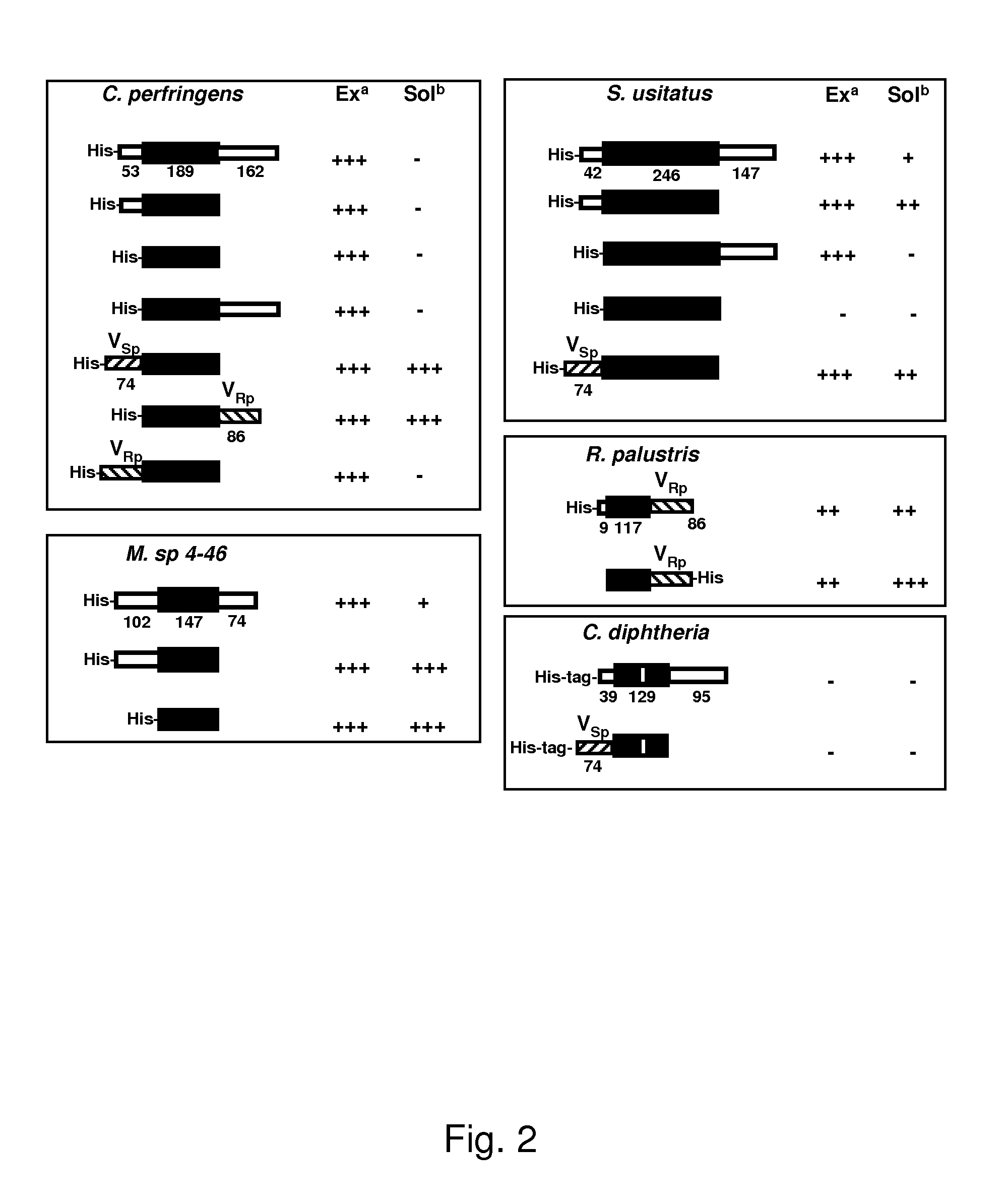 Expression of triple-helical collagen-like products in e.coli