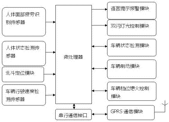 Vehicle safe driving measurement and control system