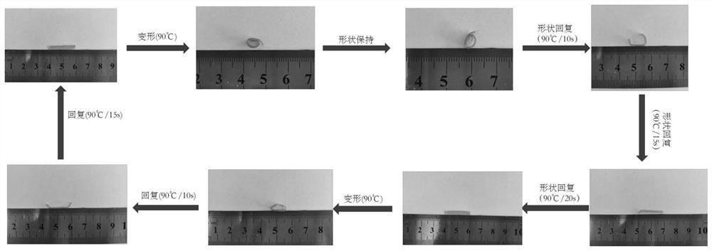 Non-isocyanate-based polyurethane monomer, thermosetting non-isocyanate-based shape memory polyurethane and preparation and recycling methods of non-isocyanate-based polyurethane monomer and thermosetting non-isocyanate-based shape memory polyurethane