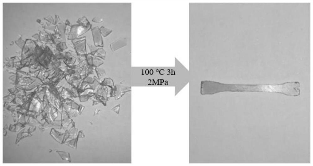 Non-isocyanate-based polyurethane monomer, thermosetting non-isocyanate-based shape memory polyurethane and preparation and recycling methods of non-isocyanate-based polyurethane monomer and thermosetting non-isocyanate-based shape memory polyurethane