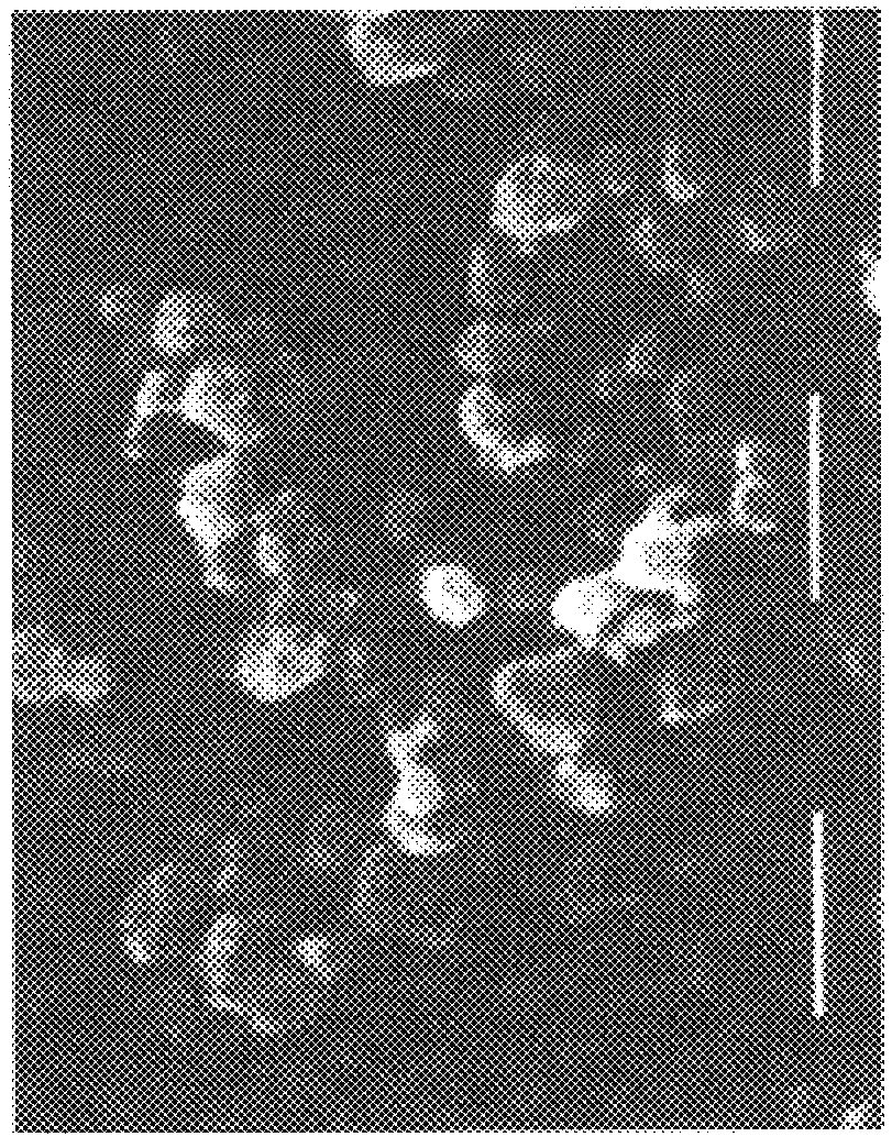 Nanosheres comprising a biocompatible polysaccharide