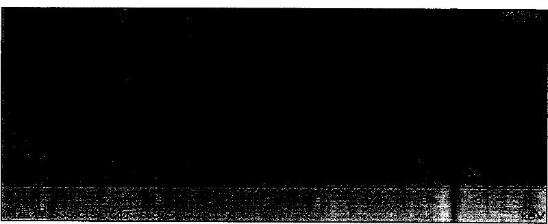 Super-high density information storage material antimony potassium sulfide and synthesis method thereof