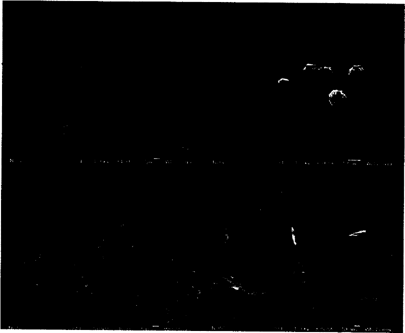 Super-high density information storage material antimony potassium sulfide and synthesis method thereof