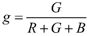 A Rice Image Information Processing System