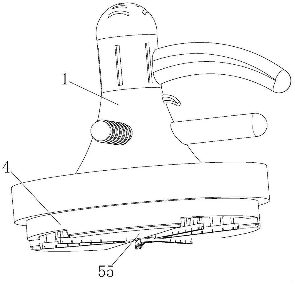 Polishing device for automobile