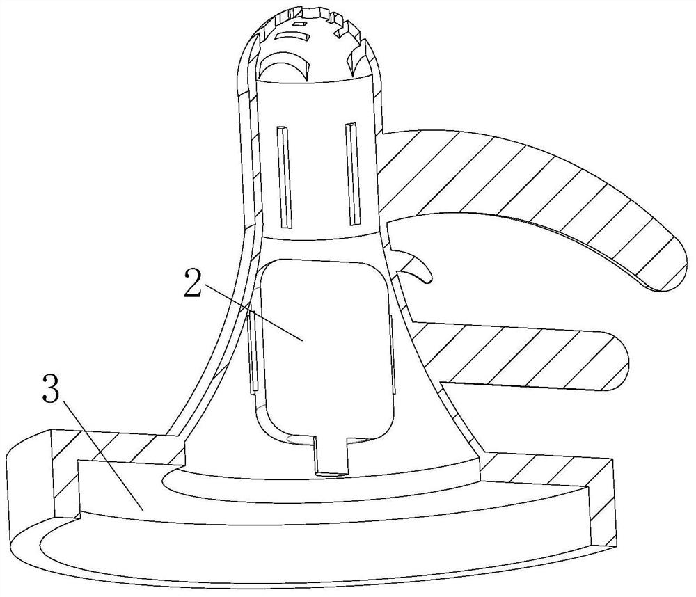 Polishing device for automobile