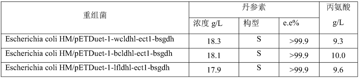 Engineering bacteria and application in coproduction of tanshinol and alanine