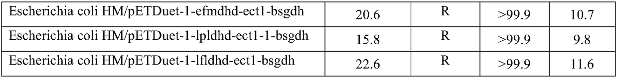 Engineering bacteria and application in coproduction of tanshinol and alanine