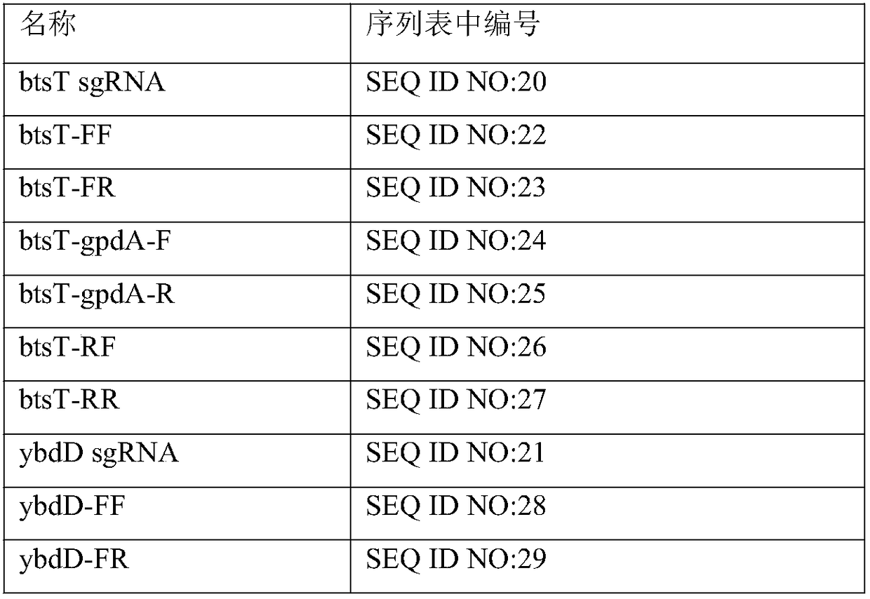 Engineering bacteria and application in coproduction of tanshinol and alanine