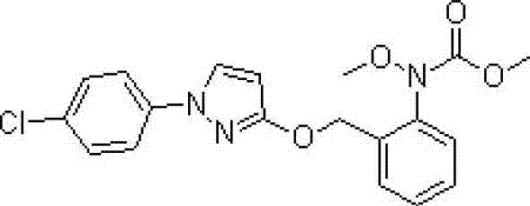 Bactericidal composition containing isopyrazam and pyraclostrobin and application thereof