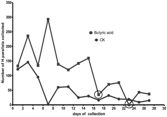 A kind of cow dung source attractant for preventing and controlling adults of black gill beetle