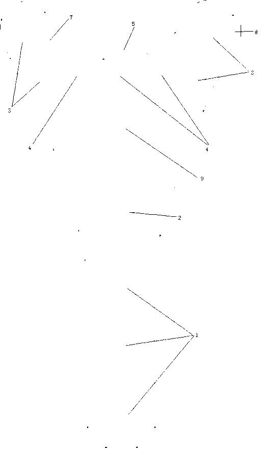 Wing type anatomical plate for proximal humerus